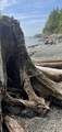 381 Waterfront - Photo 14