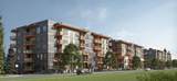 10661 137A Street - Photo 2