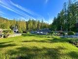 4355 Blind Bay Shoreline - Photo 15