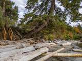 105 Madrona Road - Photo 31