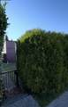 5333 Barker Avenue - Photo 3