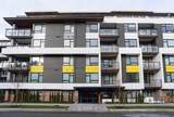 3038 St George Street - Photo 1
