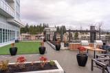 505 Nelson Street - Photo 27