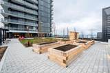 10750 135A Street - Photo 38