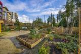 3581 Ross Drive - Photo 31