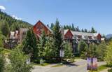 2050 Lake Placid Road - Photo 14