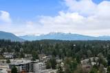 505 Nelson Street - Photo 8