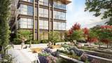 423 6th Street - Photo 14