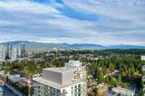 3833 Evergreen Place - Photo 8