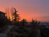 13631 228 Street - Photo 9