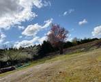 12853 Harris Road - Photo 12