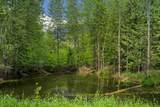 3084 Lois Road - Photo 35
