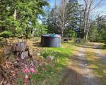 1772 Mount Artaban Road - Photo 37
