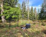 1772 Mount Artaban Road - Photo 38