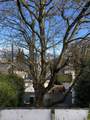 2979 3rd Avenue - Photo 8