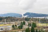 1550 Fern Street - Photo 30