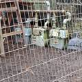 938 Clarke Road - Photo 8