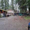938 Clarke Road - Photo 9