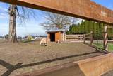 42790 Adams Road - Photo 21