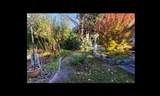 20530 Westfield Avenue - Photo 6
