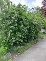 3605 Oxford Street - Photo 29