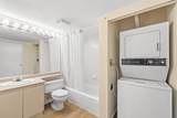 509 Carnarvon Street - Photo 12