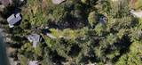 7297 Belle Road - Photo 39