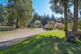 1106 A & B Gladwin Trail Road - Photo 9