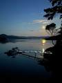 DL6129 Nelson Island - Photo 39