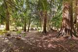 517 Sandy Hook Road - Photo 40