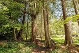 5819 Trout Lake Road - Photo 28