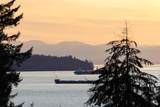 930 Esquimalt Avenue - Photo 37