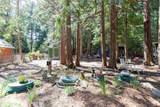 517 Abbott Road - Photo 36