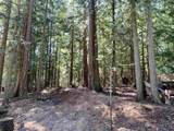 517 Abbott Road - Photo 38