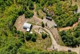 3163 Crystal Road - Photo 38