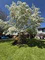 11027 83 Avenue - Photo 37