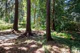 3687 Coast Meridian Road - Photo 38