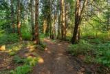 2916 184 Street - Photo 10