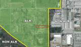 2916 184 Street - Photo 4