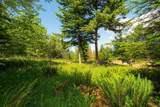 970 Mount Artaban Road - Photo 21