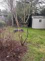 5683 Medusa Street - Photo 17