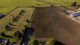 42505 Yale Road - Photo 3