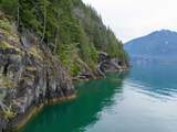 3 Seal Bay - Photo 10
