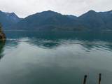 3 Seal Bay - Photo 12