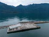 3 Seal Bay - Photo 15