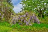 4412 248 Street - Photo 26