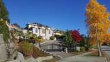 1496 Johnson Street - Photo 1