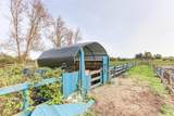 2975 53rd Street - Photo 38