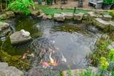 3387 Tolmie Road - Photo 26