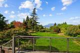 5687 Chancellor Boulevard - Photo 22